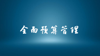 2025年度规划：战略导向的全面预算管理